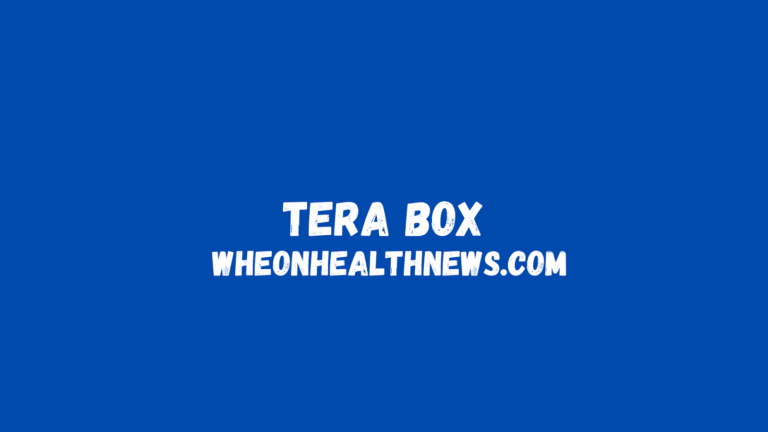 Wheon com is Terabox a Chinese Company?